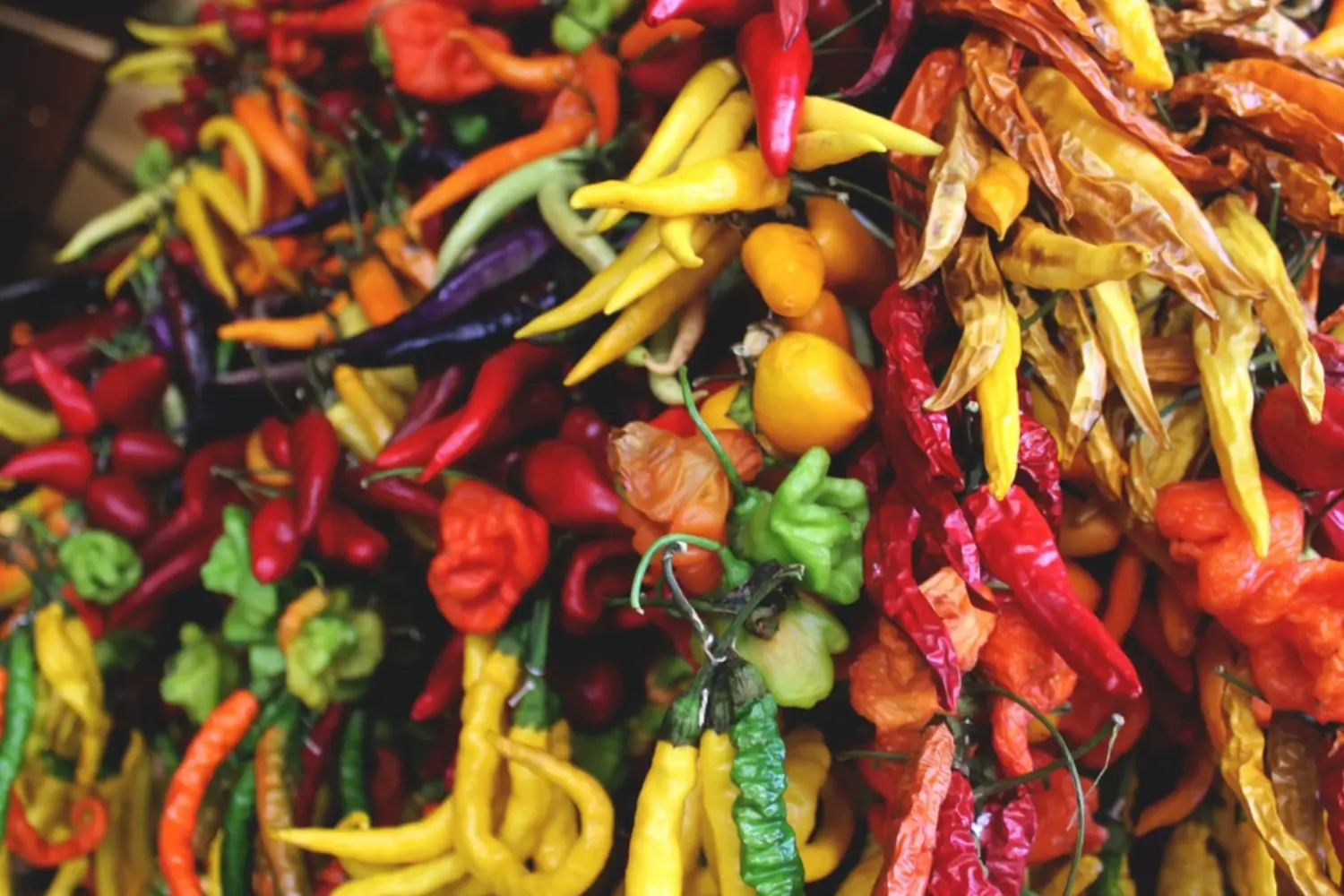 aji péruviens