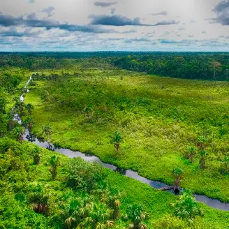 amazonie, manu, pérou